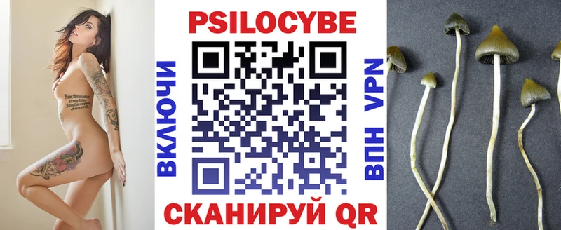 где продают наркотики  Волжск  Галлюциногенные грибы мухоморы 